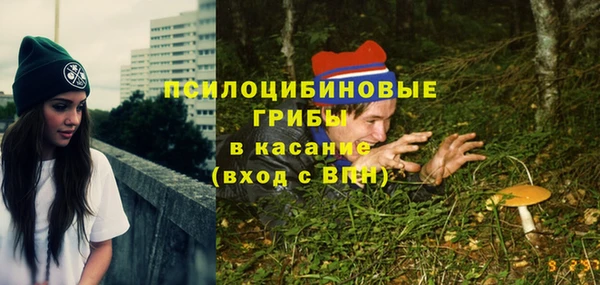 индика Покачи