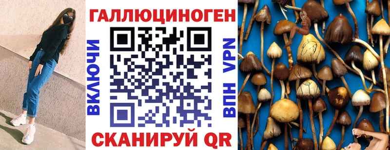 Псилоцибиновые грибы Magic Shrooms  МЕГА ссылки  Сланцы 